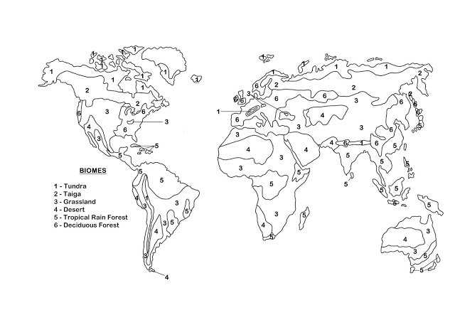 World Biomes Map Worksheet Beginner
