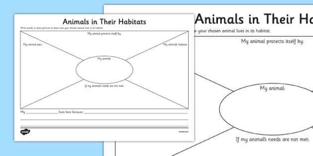 Animals In Their Habitats Worksheet