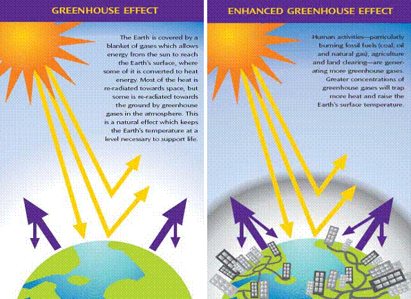 Answer Keys  An Inconvenient Truth Worksheets (parts I, Ii, And