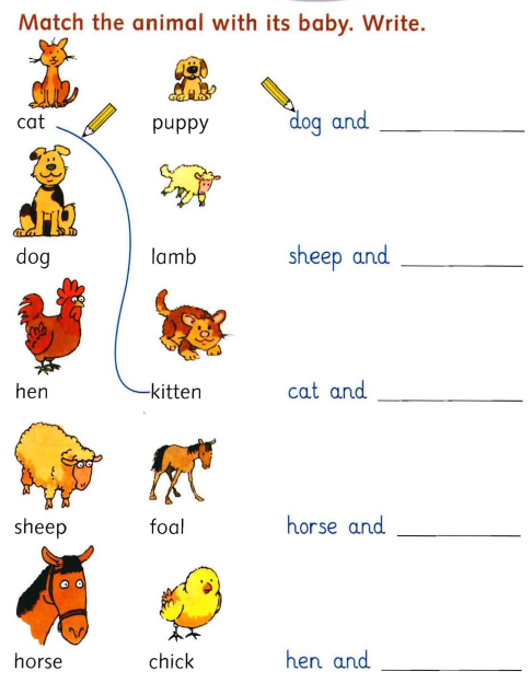 Baby Animal Names Worksheet Worksheets For School