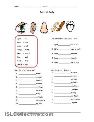 Best Solutions Of Science Worksheets For Grade 1 Body Parts For