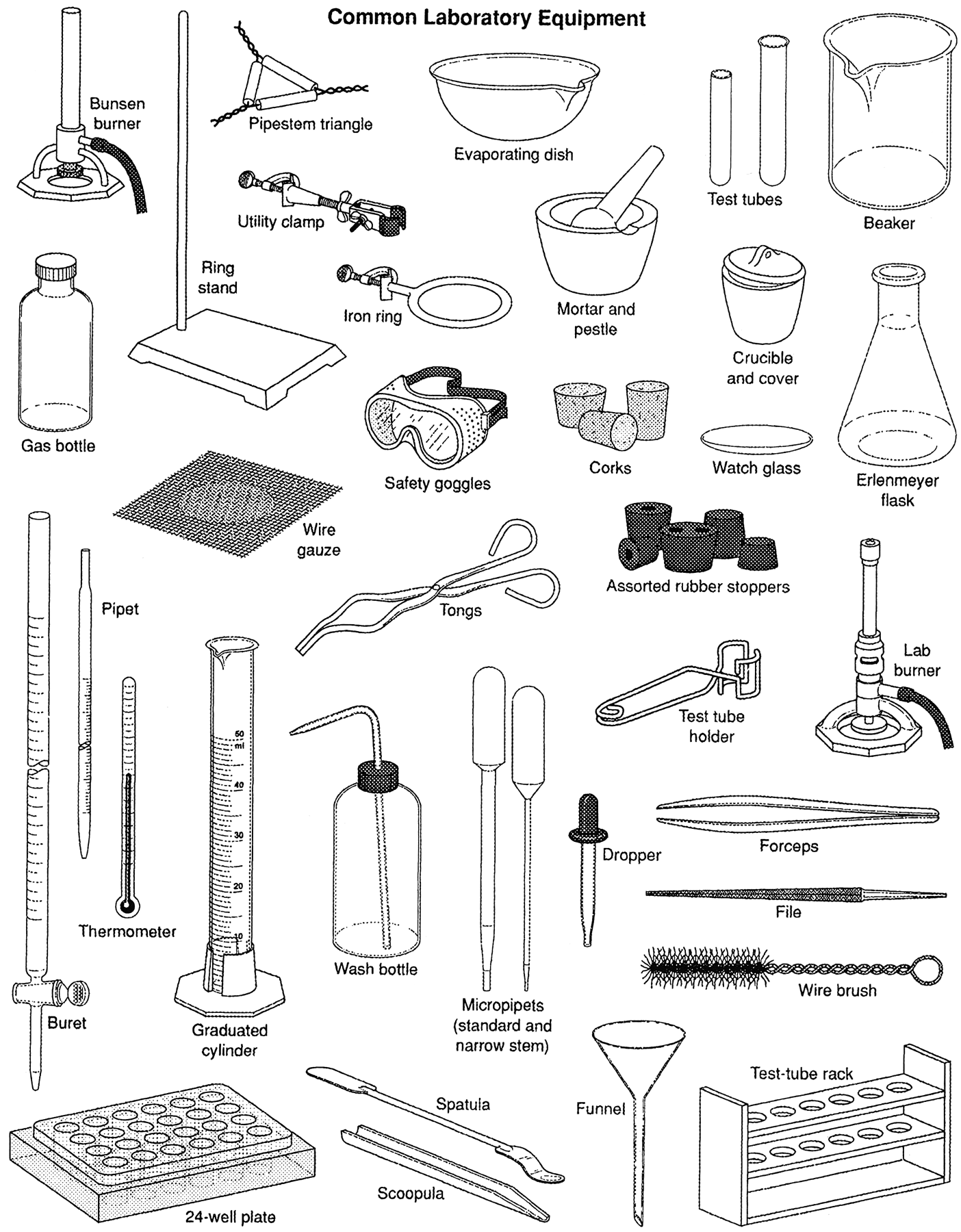 Biology Lab Equipment Worksheet | Free Worksheets Samples