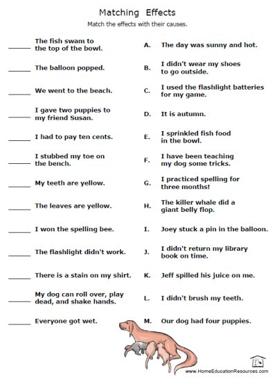 Cause & Effect Worksheets