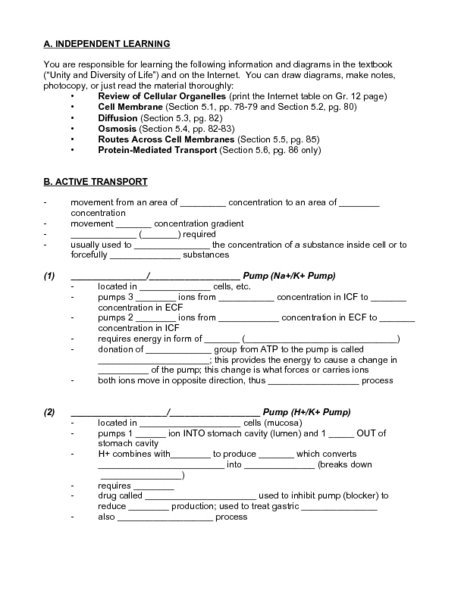 Cell Membrane And Tonicity Worksheet Answer Key Abitlikethis