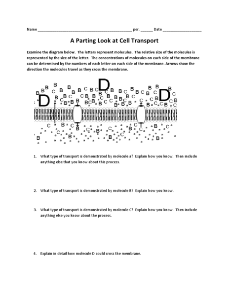 Cell Transport Worksheet Answer Key Abitlikethis, Cellular