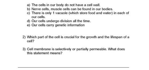 Cell Transport Worksheet Photosynthesis Making Energy Worksheet