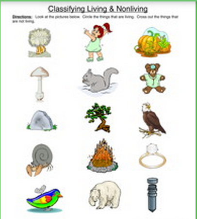 Classifying Living And Nonliving Things Worksheet