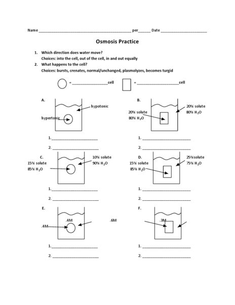 Diffusion And Osmosis Worksheet Answers Diffusion Worksheet Answer