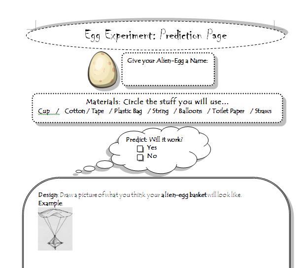 Egg Drop Worksheet