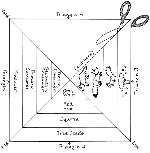 Free Food Chain Worksheet Worksheets For All