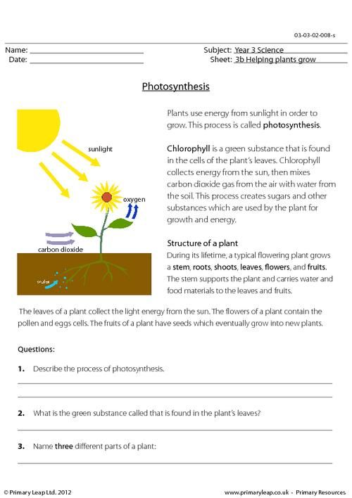 Image Result For 4th Grade Science Plants Worksheets