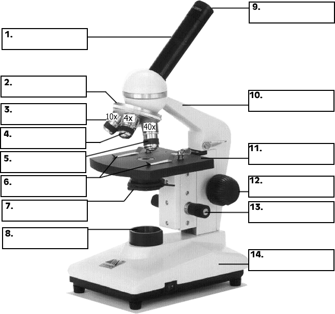 Microscope Labeling