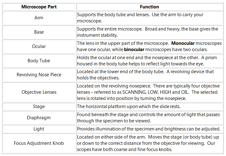 Microscope Parts And Functions Worksheet Photos