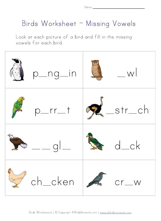 Missing Letters Birds Worksheet