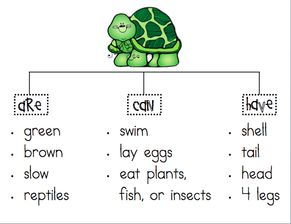 Mrs Ricca’s Kindergarten Nonfiction Writing {turtles} | Free Worksheets ...