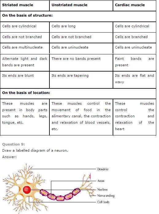 Ncert Solutions For Class 9th Science  Chapter 6 Tissues