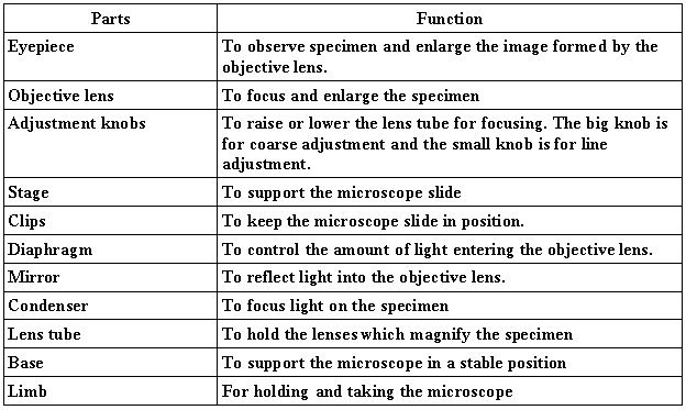 Parts  Parts And Functions Of A Microscope