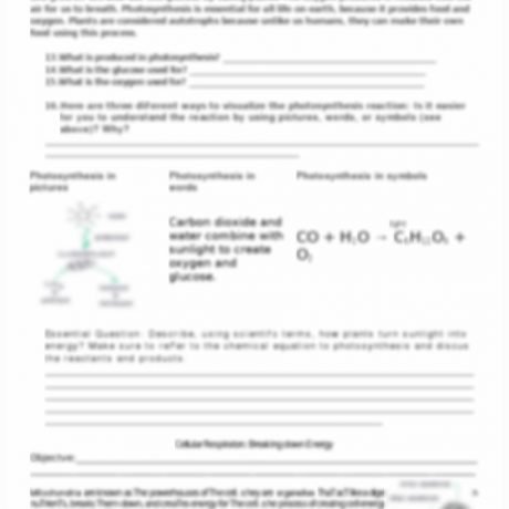 Photosynthesis Making Energy Worksheets Answer Key