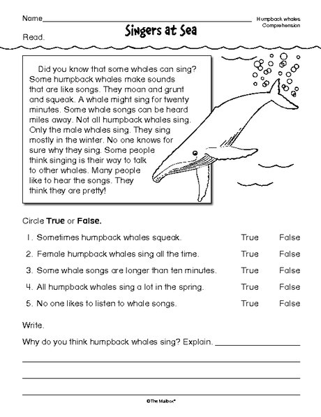 Reading Comprehension Worksheet  Nonfiction Whales