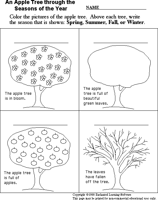 Season Of The Year Worksheet Worksheets For All
