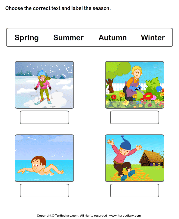 Seasons Of The Year Worksheets Worksheet