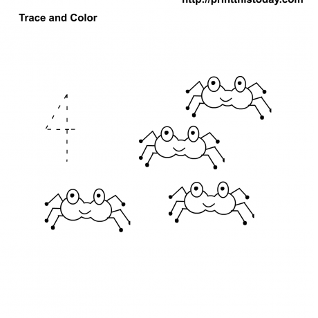 Spider Math Worksheet Spider Math Worksheets