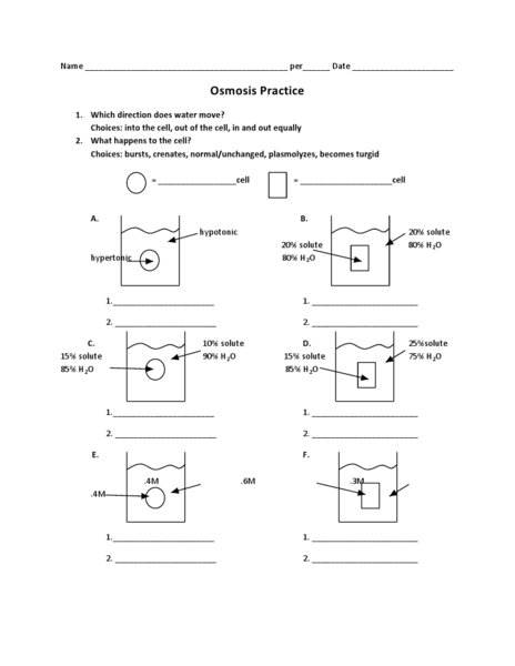 Tonicity And Osmosis Worksheet Free Worksheets Library