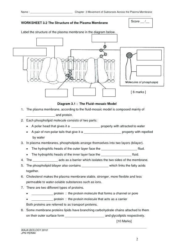 Worksheets For All