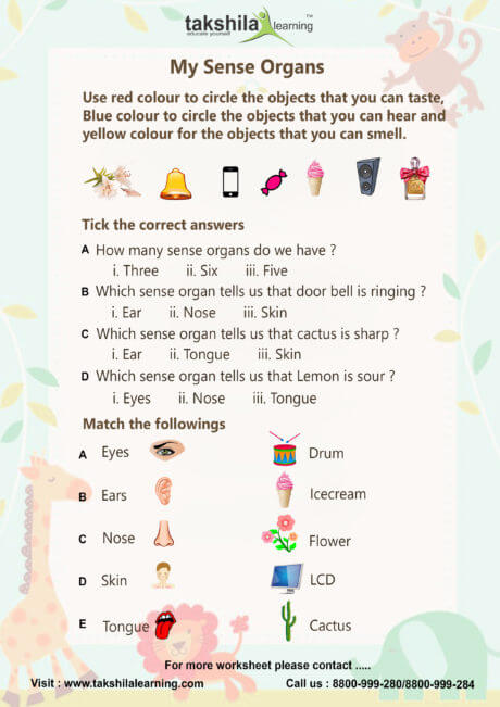 Worksheets For Class 1 Evs