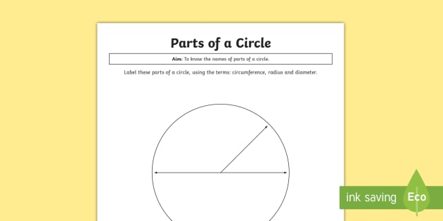 Year 6 Parts Of A Circle Differentiated Worksheet   Activity