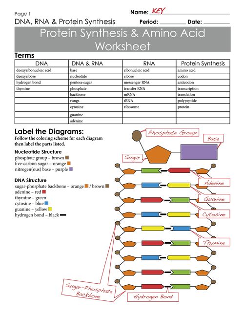 87 Best Molecular Images On Free Worksheets Samples