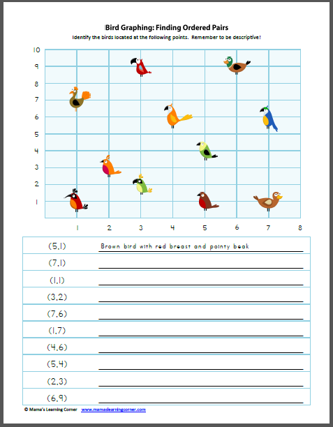 All About Birds  Worksheets