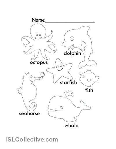 Best Photos Of Ocean Animals Worksheets