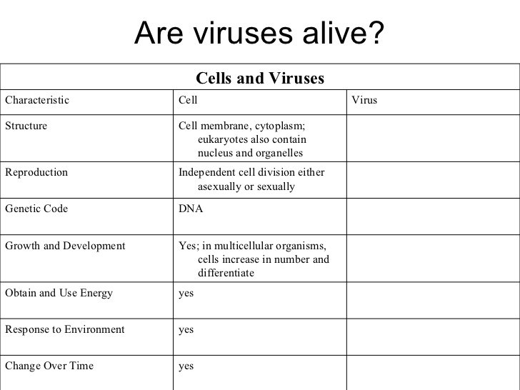 Biology Viruses Worksheet Answers