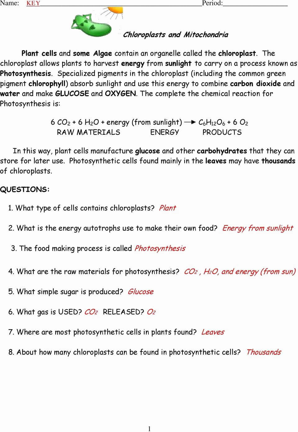 Chloroplast And Mitochondria Worksheet Lovely And Mitochondria Free Chloroplast And Mitochondria Worksheet Lovely And Mitochondria Free