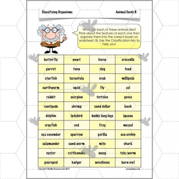 Classification Of Organisms Worksheet