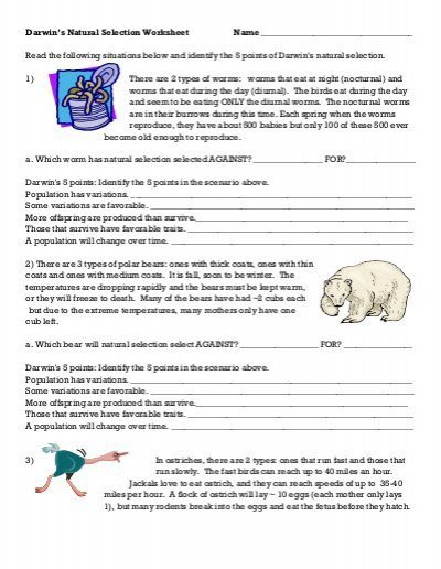Darwin's Natural Selection Worksheet Natural Selection Darwins