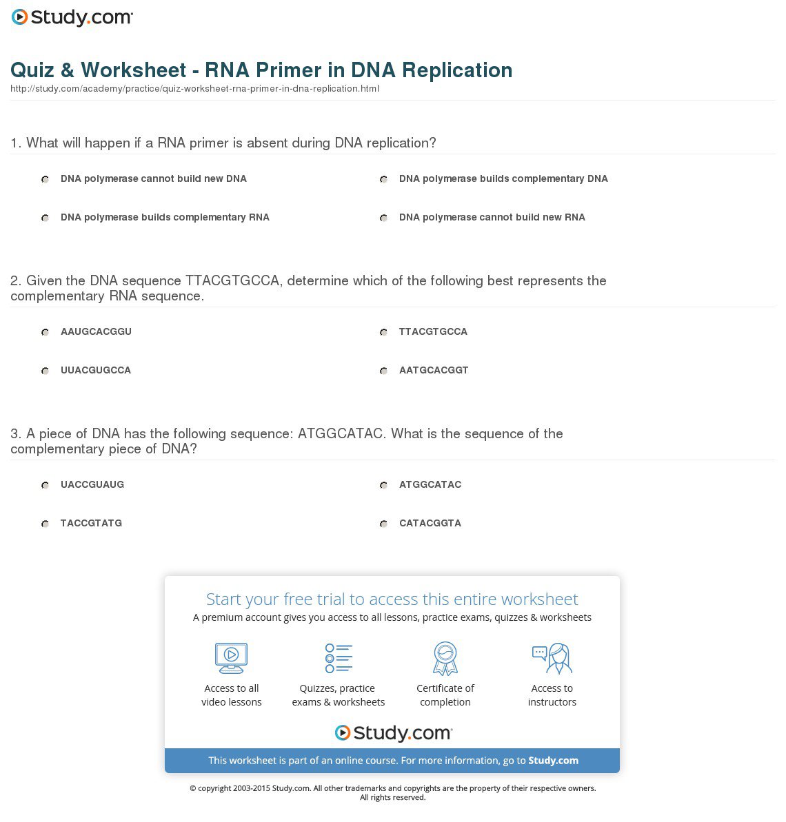 Dna And Dna Replication Worksheet Answers Tags   Dna Review