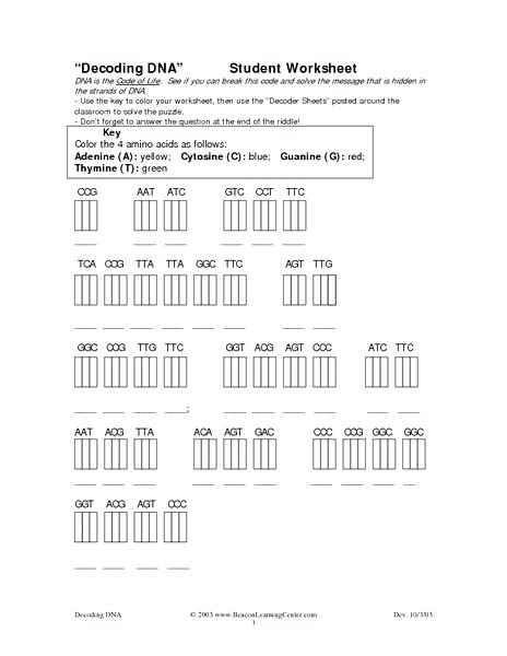Dna Replication Coloring Worksheet Together With Worksheet Base