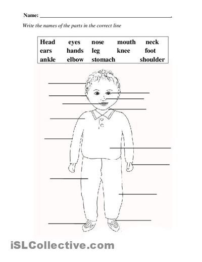 Elementary Printables For Teachers The Body Definitions