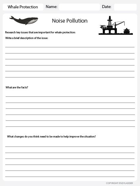 Environmental Issues  Noise Pollution Worksheet, Theme Based