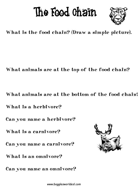 Food Chain Worksheet 4th Grade Worksheets For All