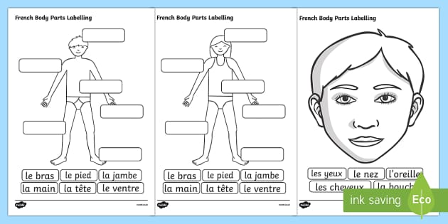 French Body Parts Labelling Worksheet