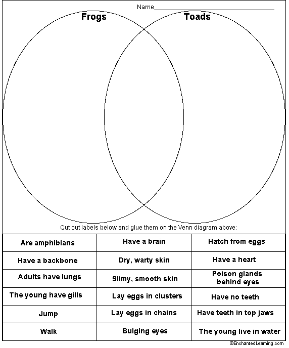 Frogs And Toads Venn Diagram Printout