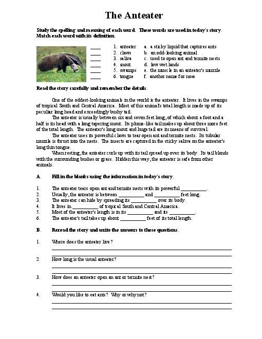 Ideas Of Reading Comprehension Worksheets High School In Cover