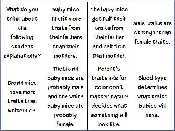 Inherited Traits Worksheet 3rd Grade Worksheets For All