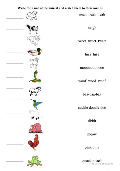 Matching Animals And Their Sounds Worksheet