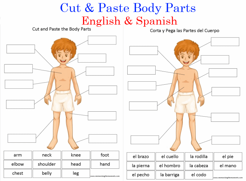 Memorizing The Moments  Cut & Past Body Parts