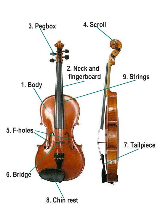 Music For Kids  Parts Of The Violin