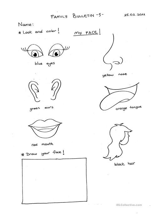 My Face Worksheet
